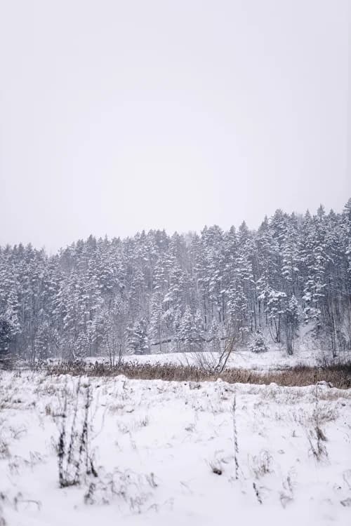 Алат-Тау