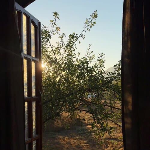 Арт-Ковчег