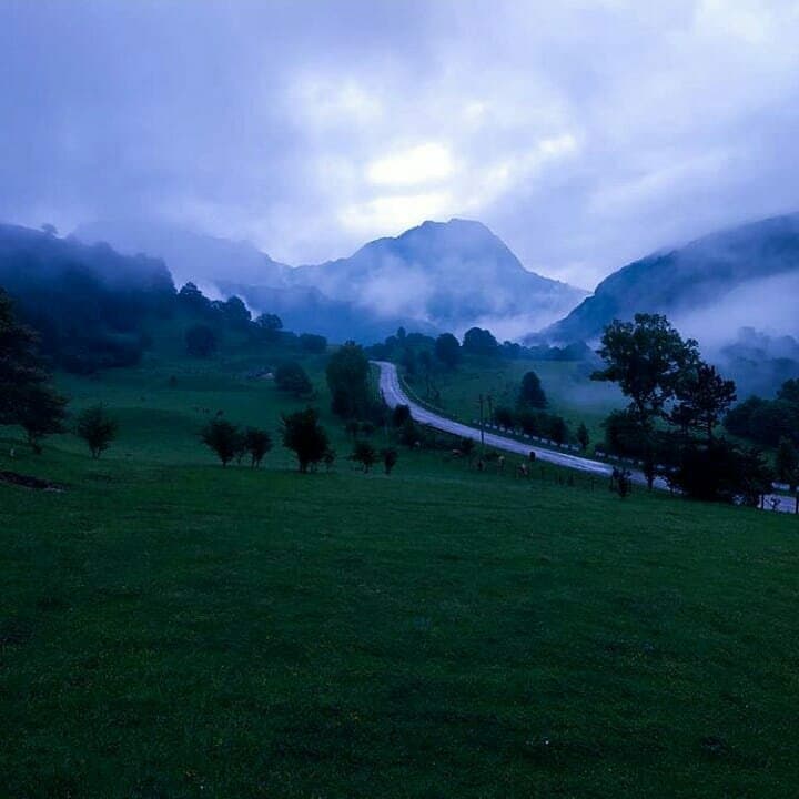 АйдынЭль