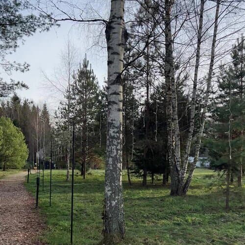 Багио