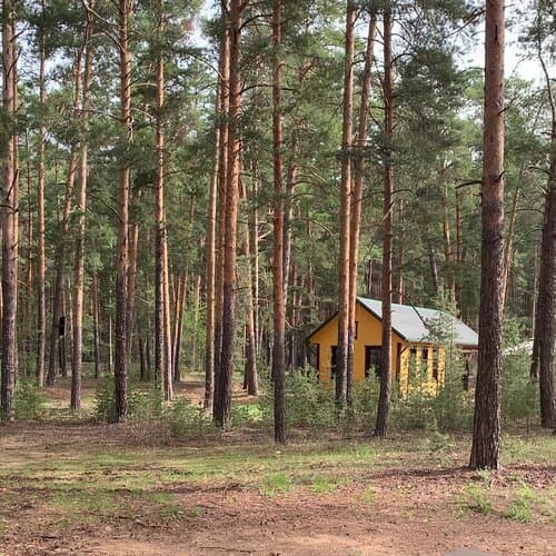 Глэмпинг Бард Вилладж