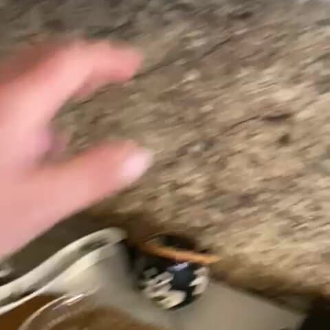 Бархатный сезон