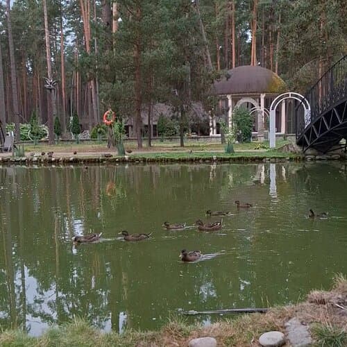 4 сезона база отдыха