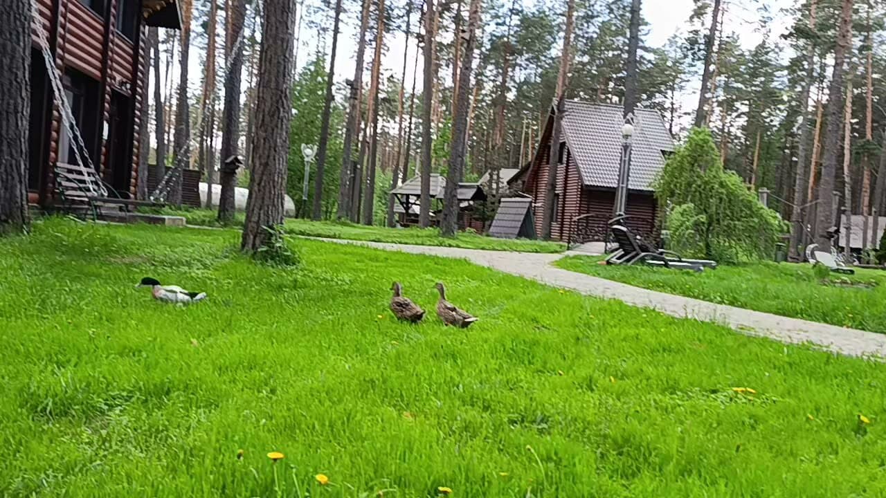 4 сезона база отдыха