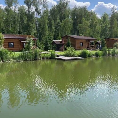 Белая цапля