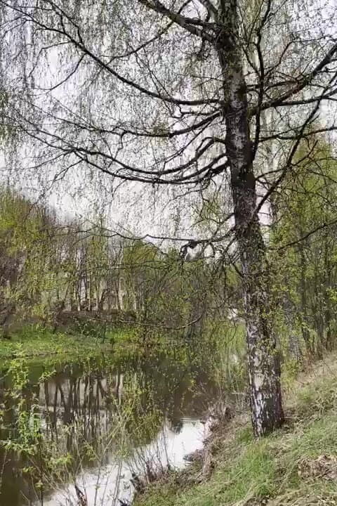 Глэмпинг Любимый в Любаново