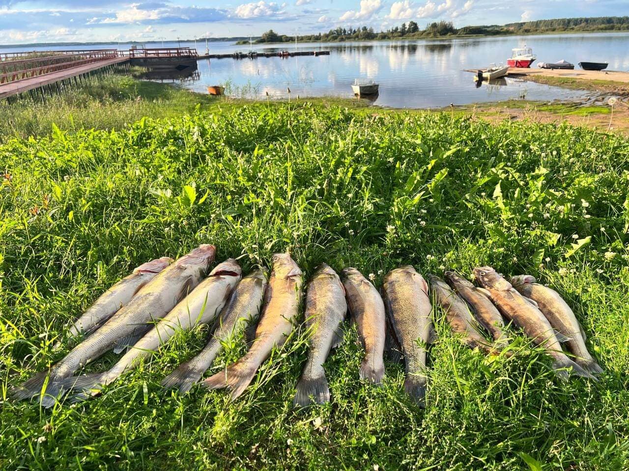 Гостиница Берег Мологи