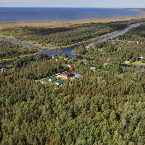 Бобры