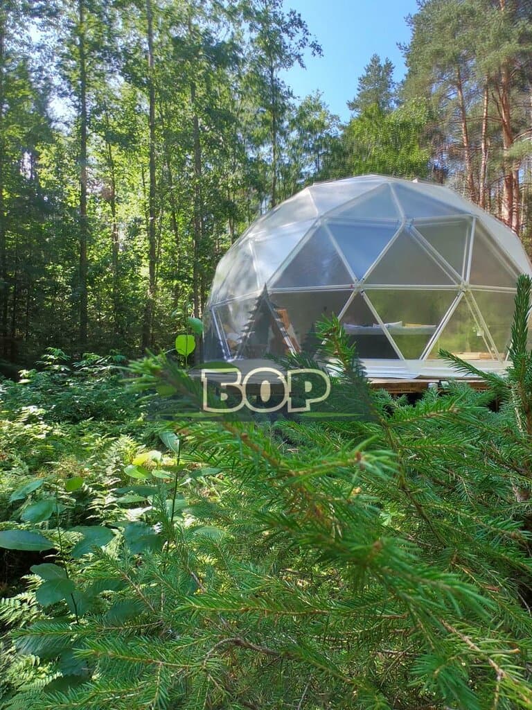 Бор