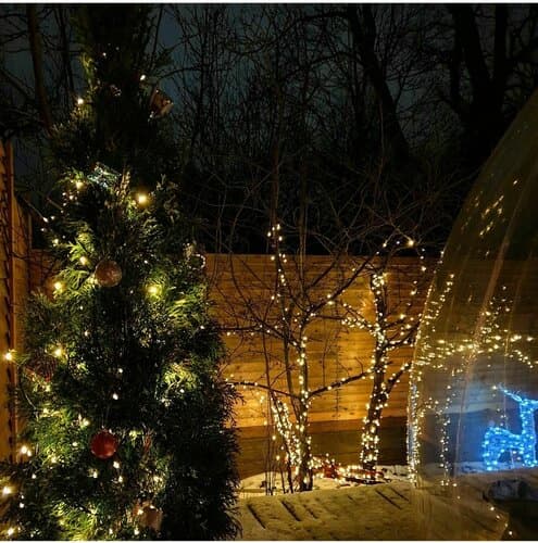 Bubble Dacha