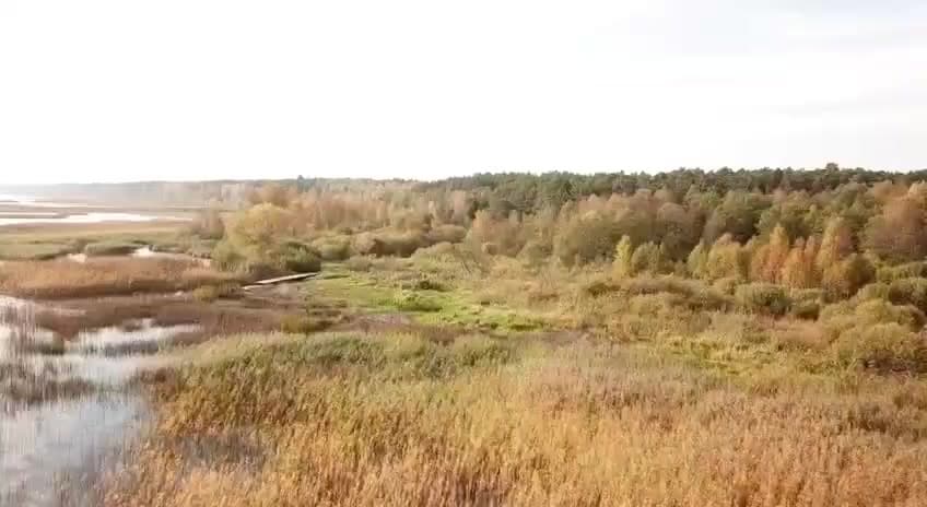 Зона Отдыха Язёвка