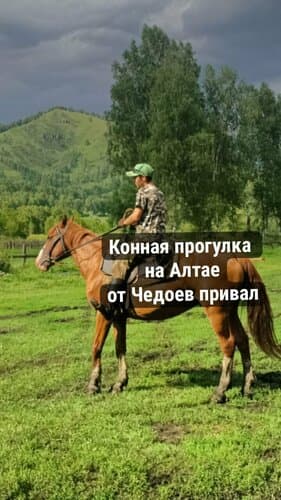 Чедоев привал