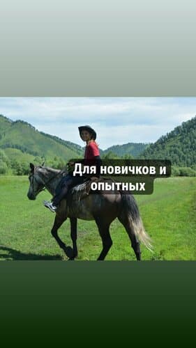 Чедоев привал