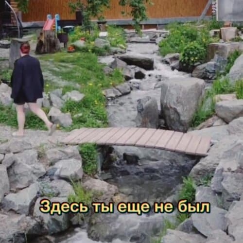 Чинара