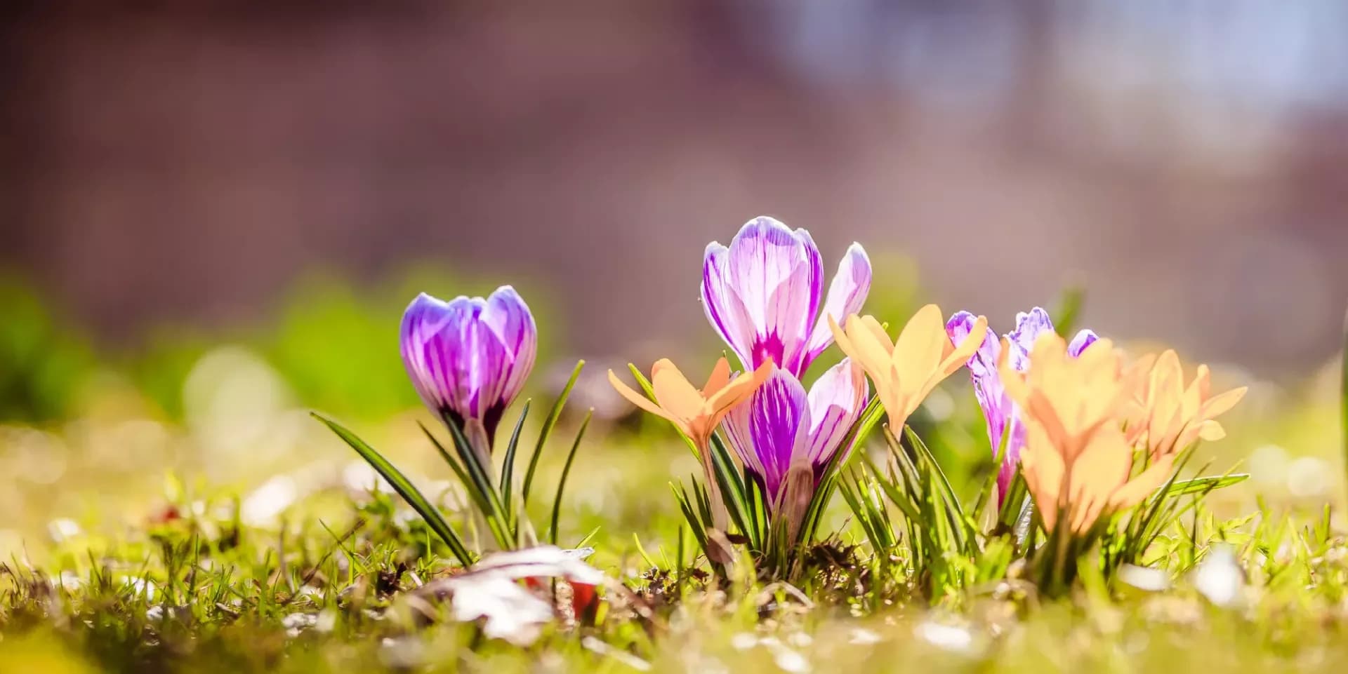 Cosmos Казань Отель