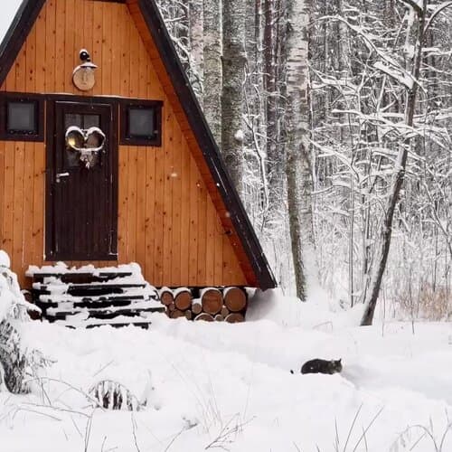 Deep Lake House