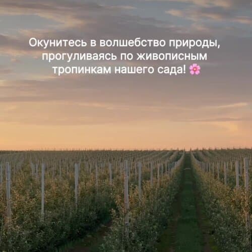 Domik в саду