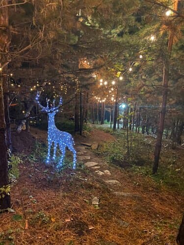 Глэмпинг Две сосны