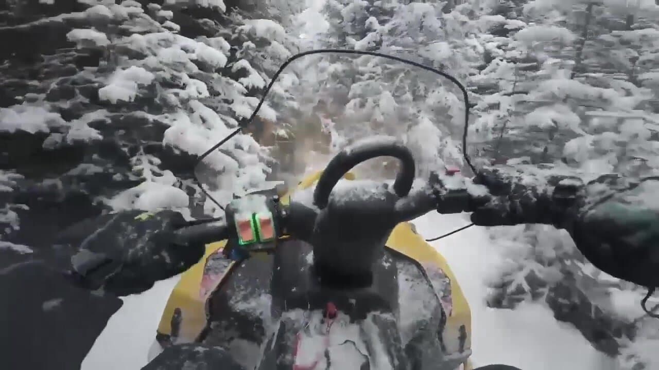 Дух тайги
