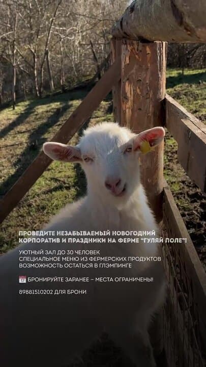 Эко ферма Гуляй Поле