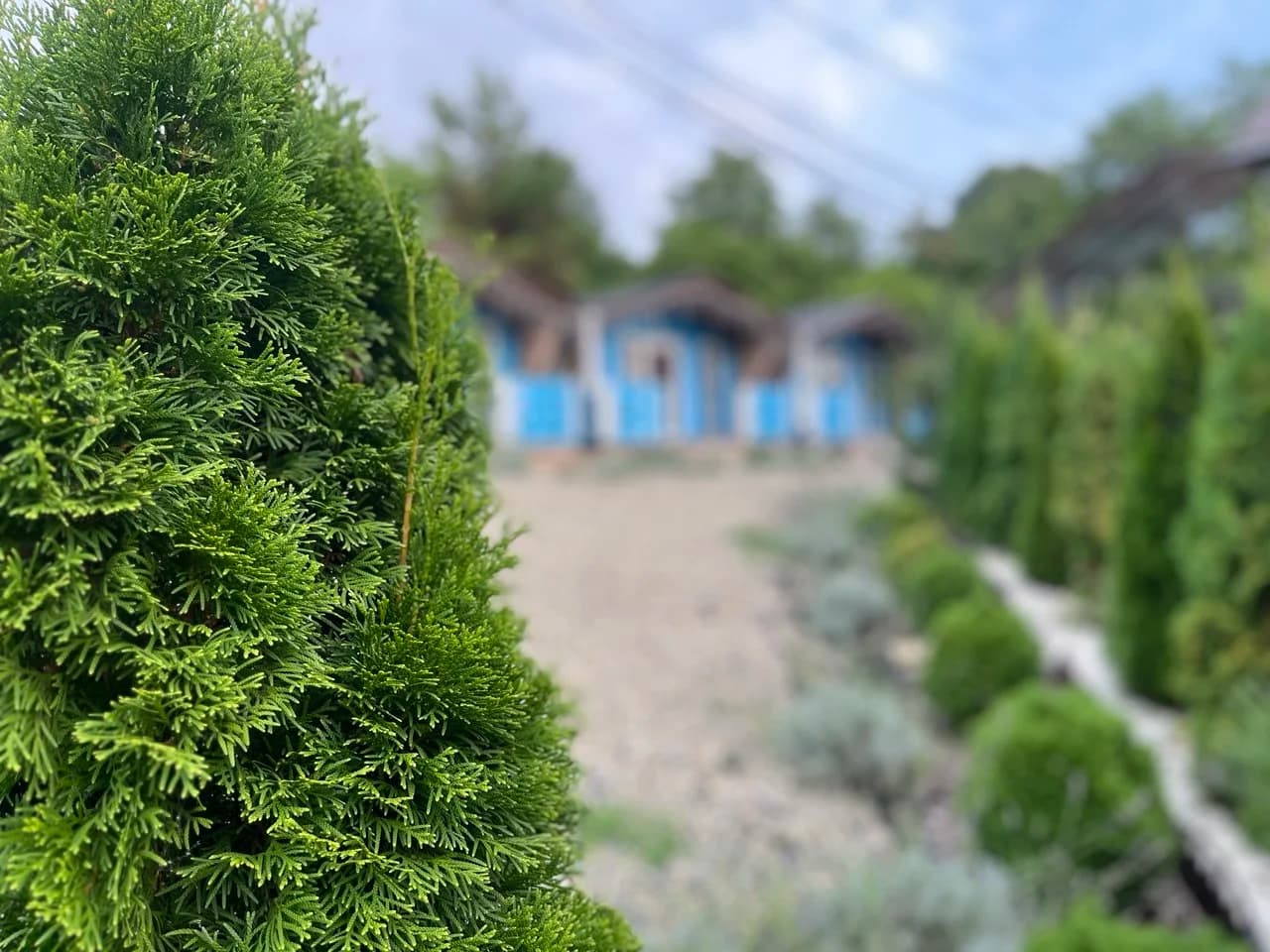 Eco-house