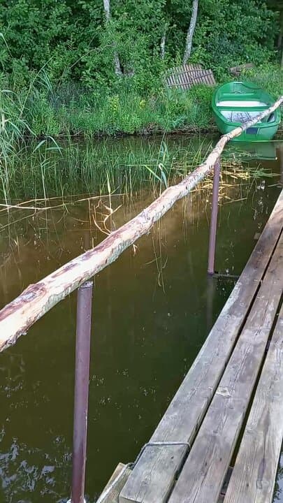 Экохаус Дзен
