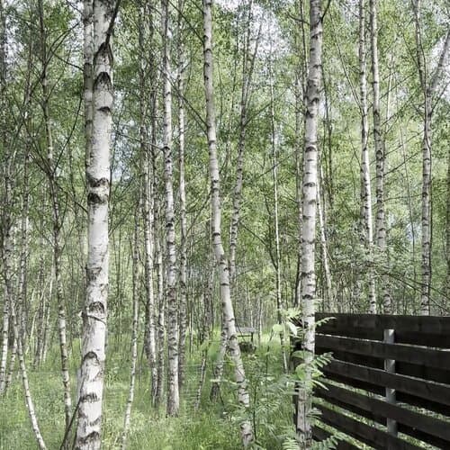 Эко-горный