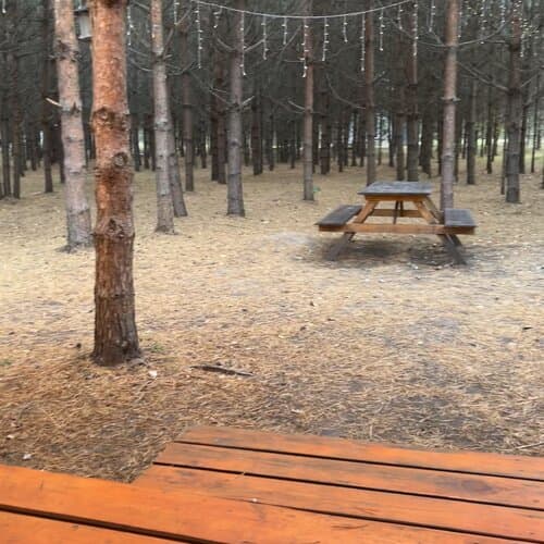Эко-отель Форест
