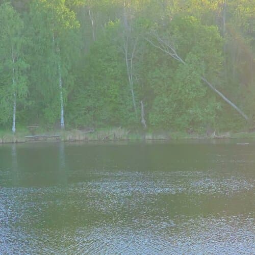 Эко-отель Harland