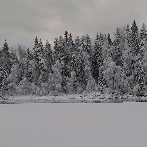 Эко-отель Harland