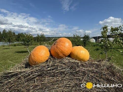 Экоферма Соньшино Парк