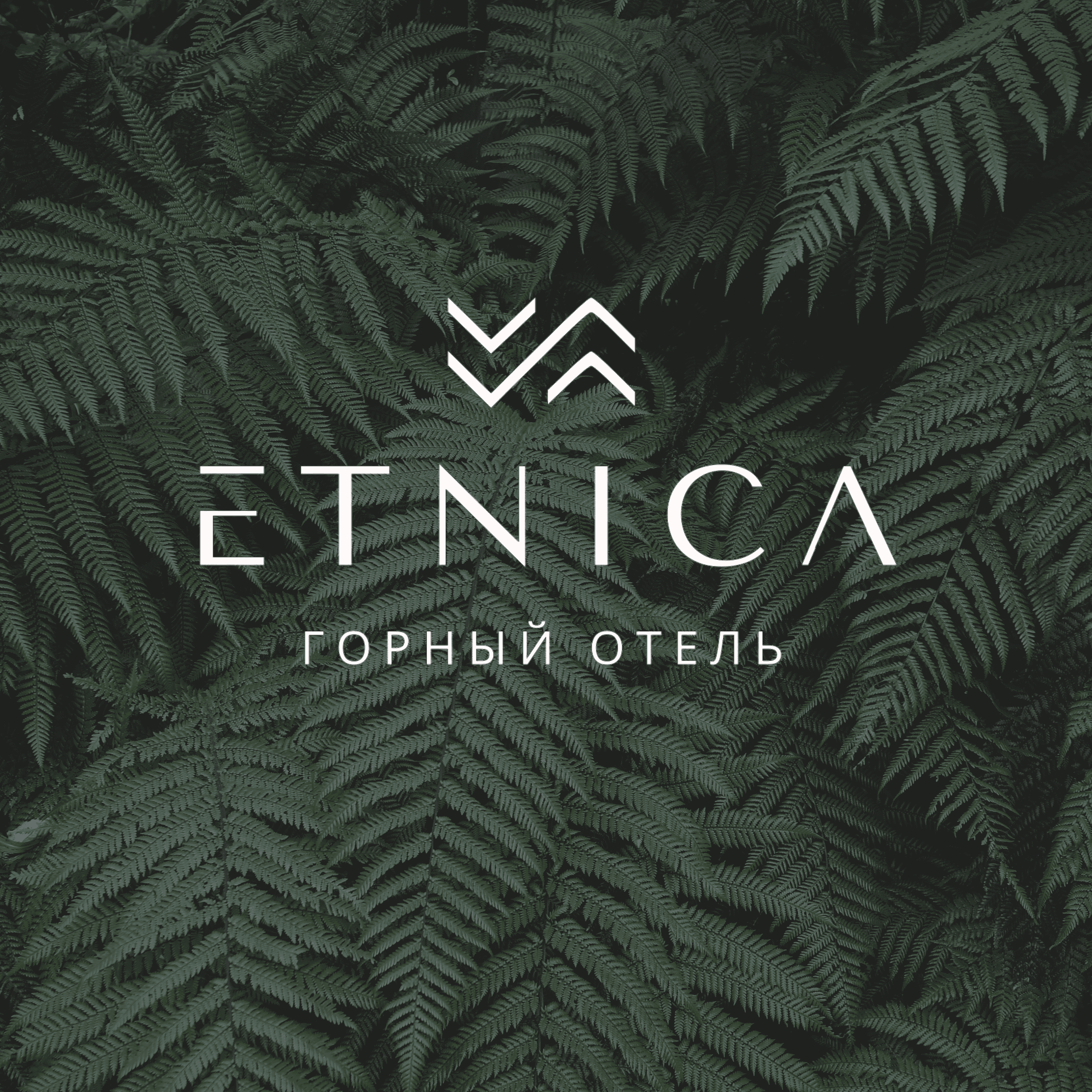 Etnica