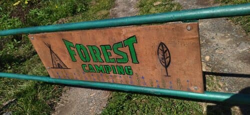 FOREST CAMPING