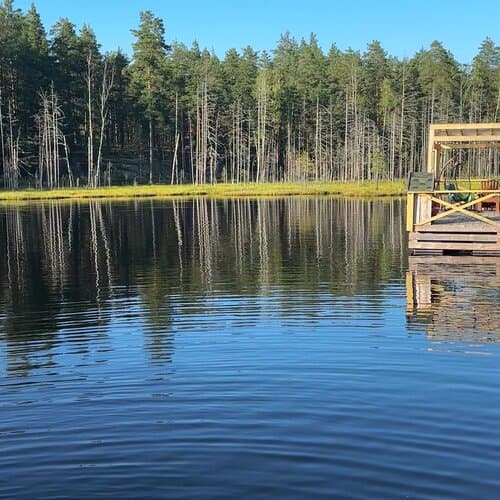 Forest lake