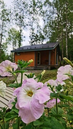 Глэмпинг Forest Park Rauhala