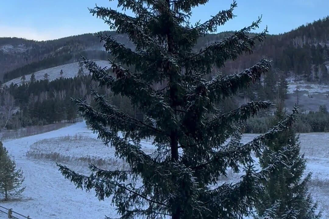 Гостиница Эко курорт Гладенькая