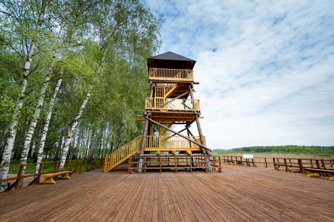 Глэмпинг Лосиный остров