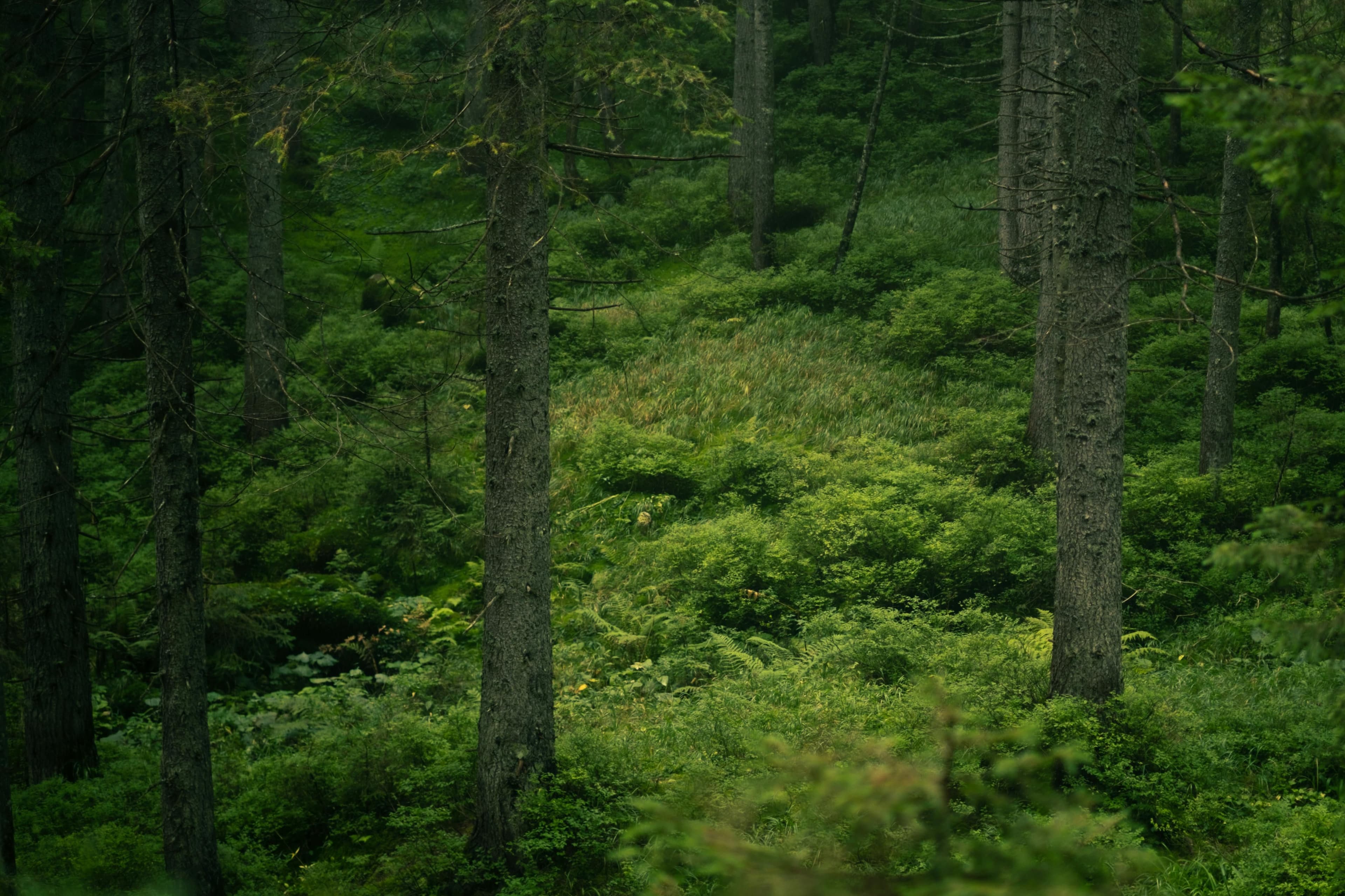 ГлампВиль