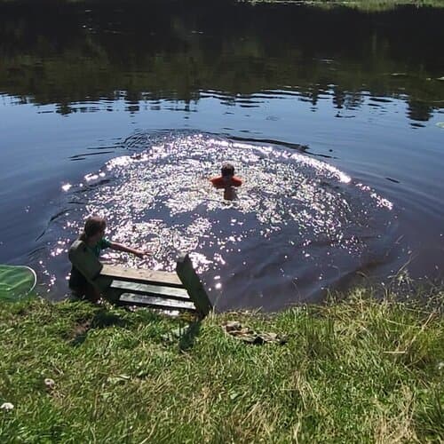 Хаски Деревня Рузская Аляска