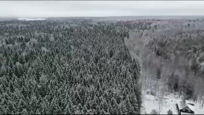 Гостевой дом Хижина Лешего