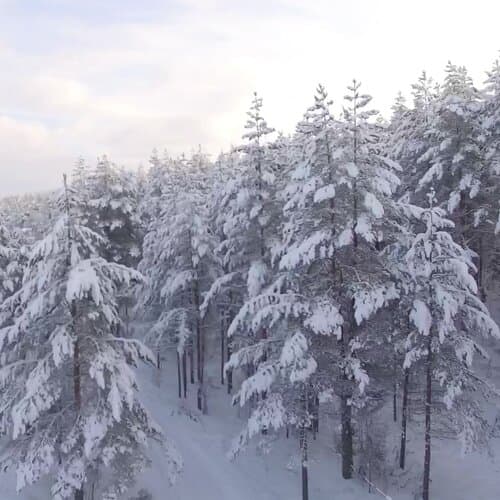 Kareliavillage