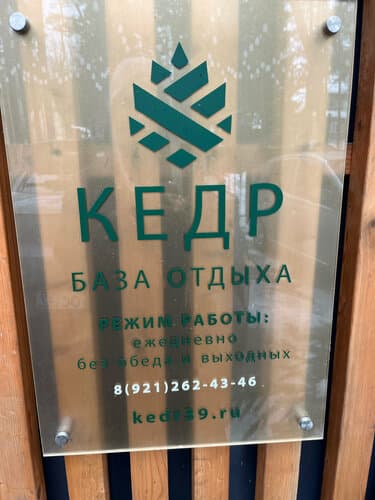 Кедр