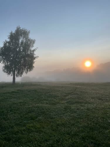 Глэмпинг Кедровая берлога