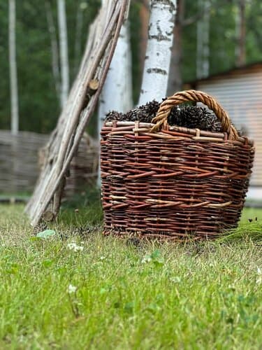 Глэмпинг Хутор Залесье