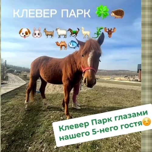 Клевер Парк