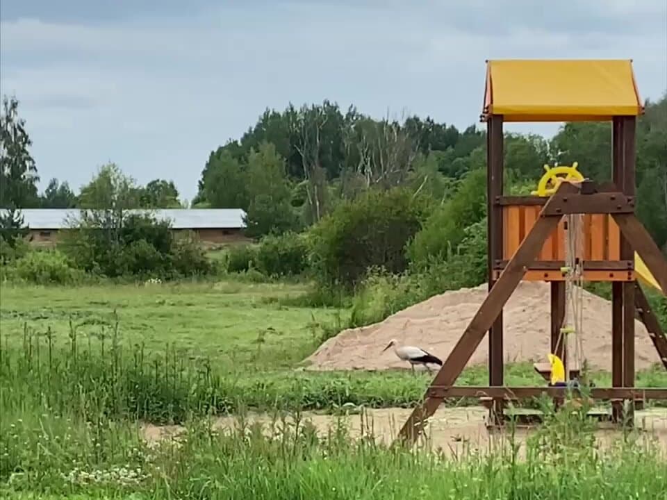 Князь Гвидон