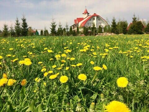 Комплекс Русь