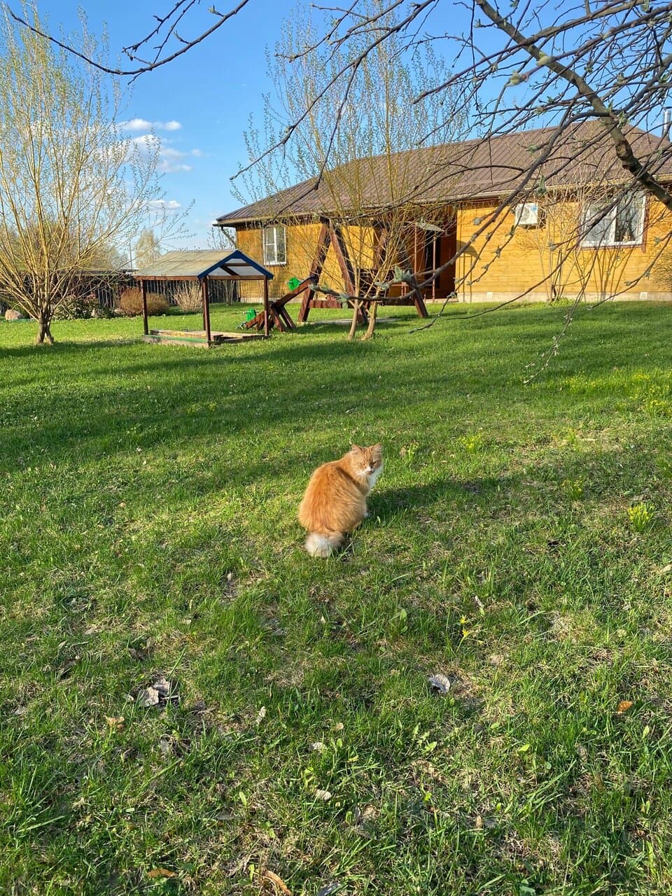 Коттеджи в Пушкинских Горах