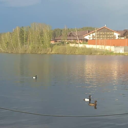 Северный Берег