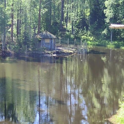 Ладога Фьорд
